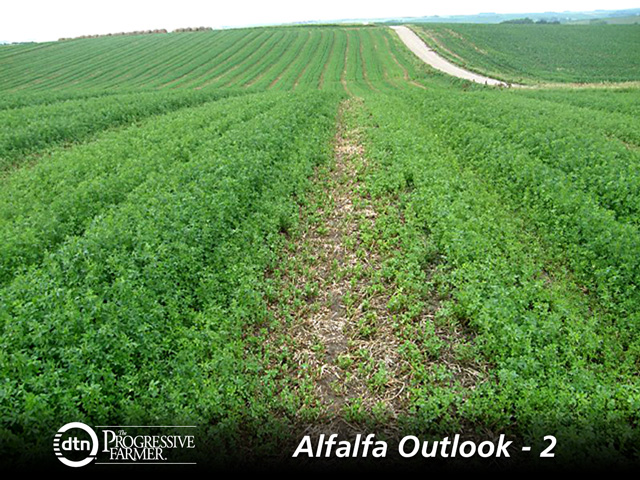 Some regions are in fairly good shape with soil moisture for their alfalfa crops, but other areas remain in a deficit and desperately need rainfall. (DTN photo by Dan Davidson)